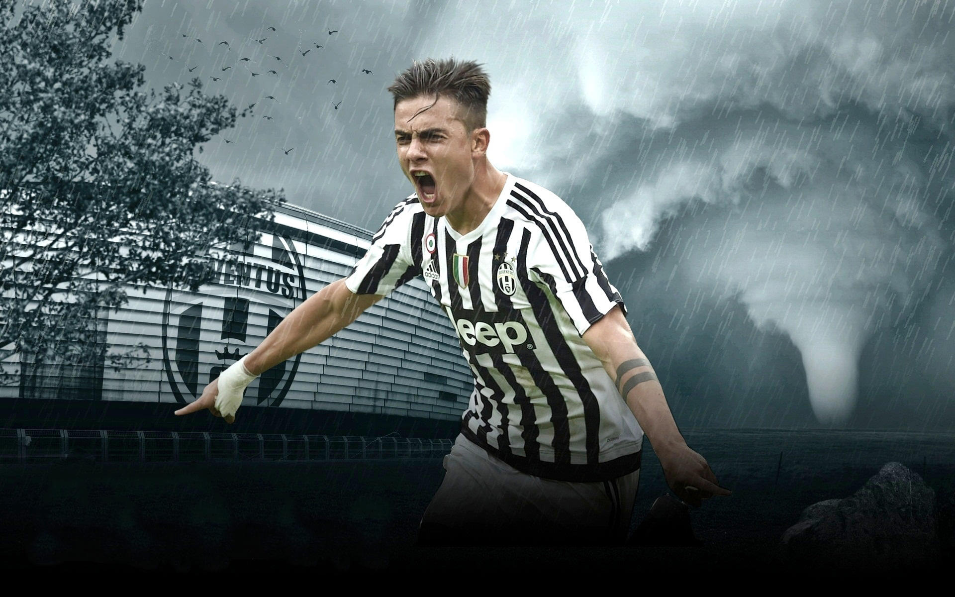 能量循环与 能量循环与